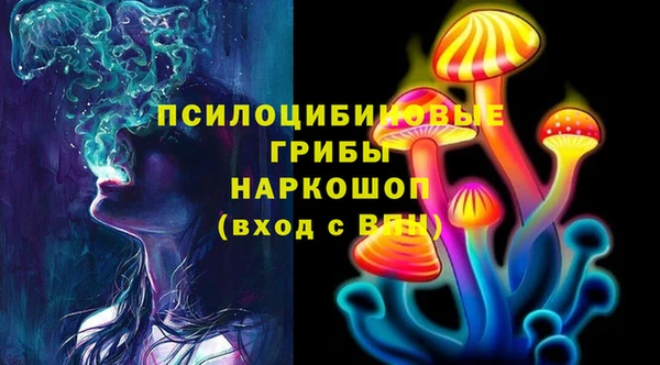 скорость Арсеньев