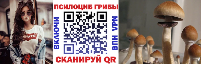 Галлюциногенные грибы мицелий Мамоново